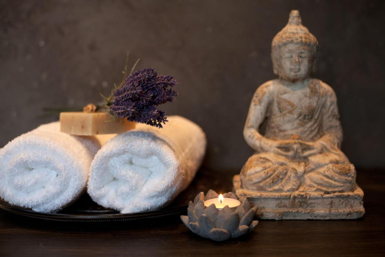 Wellness Hotel Zlata Lipa เดชชิน ภายนอก รูปภาพ