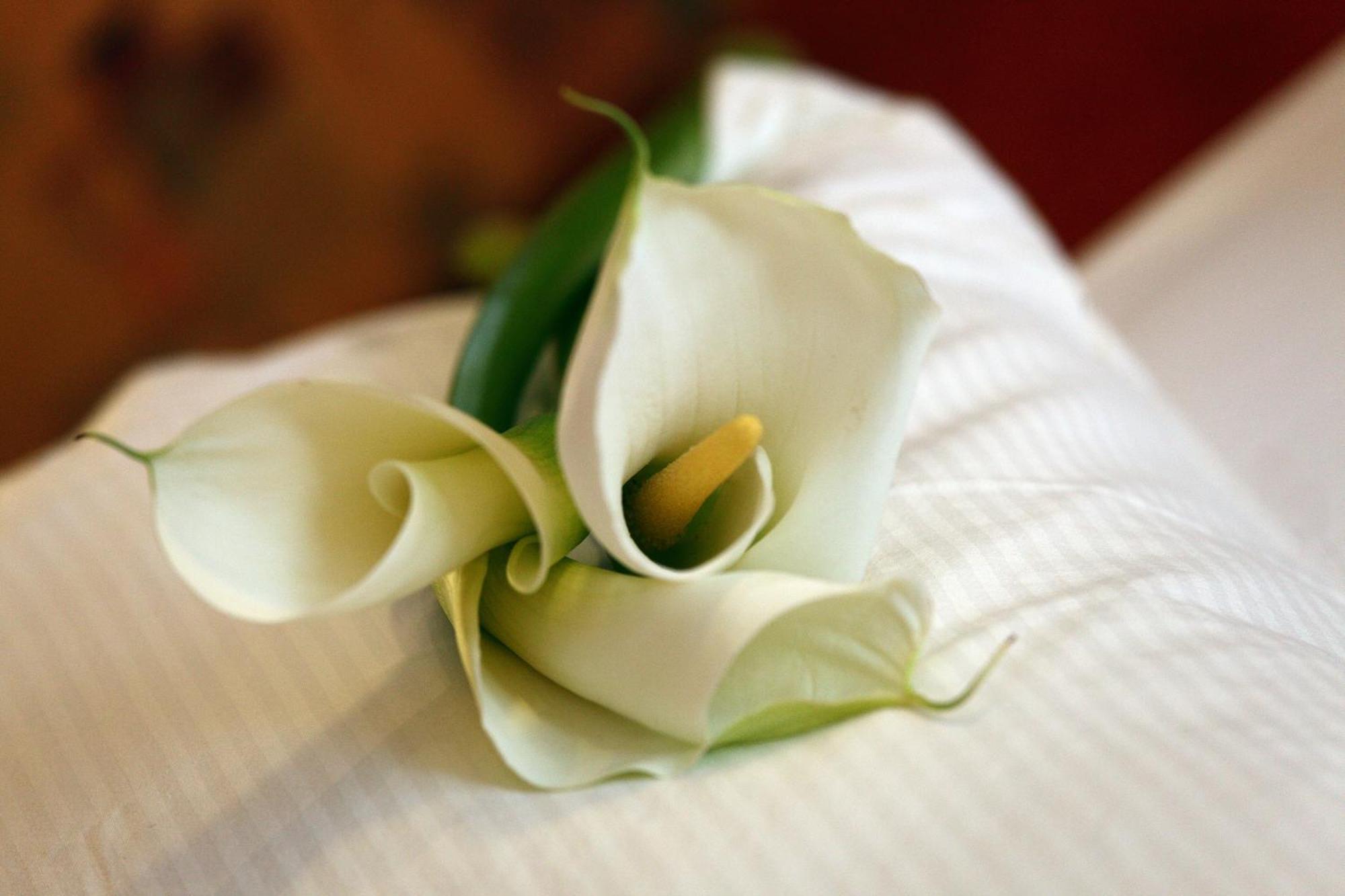 Wellness Hotel Zlata Lipa เดชชิน ห้อง รูปภาพ